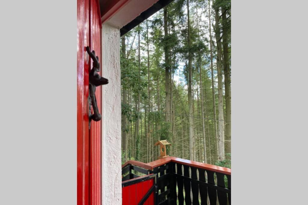 The Vianden Cottage - Charming Cottage In The Forest Exterior foto